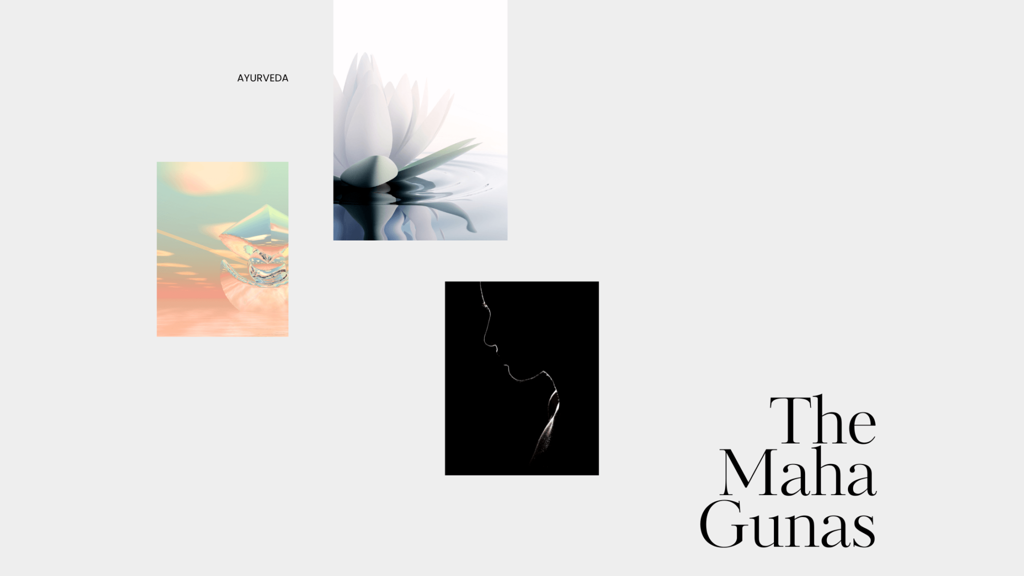 Introduction to Ayurveda Samantha Ball Wellness